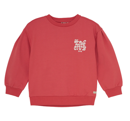 Sweater mit flauschigem Print, rot-rosa